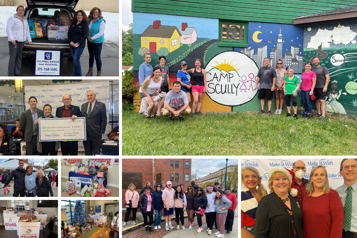 CBPP community support highlight